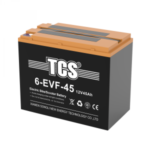 TCS电动车电池6-EVF-48