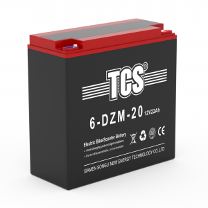TCS电动车电池 6-DZM-20